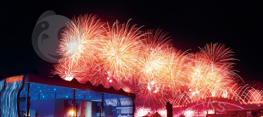2010 Shanghai World Expo