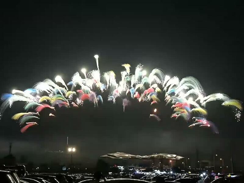 浏阳市金龙花炮厂